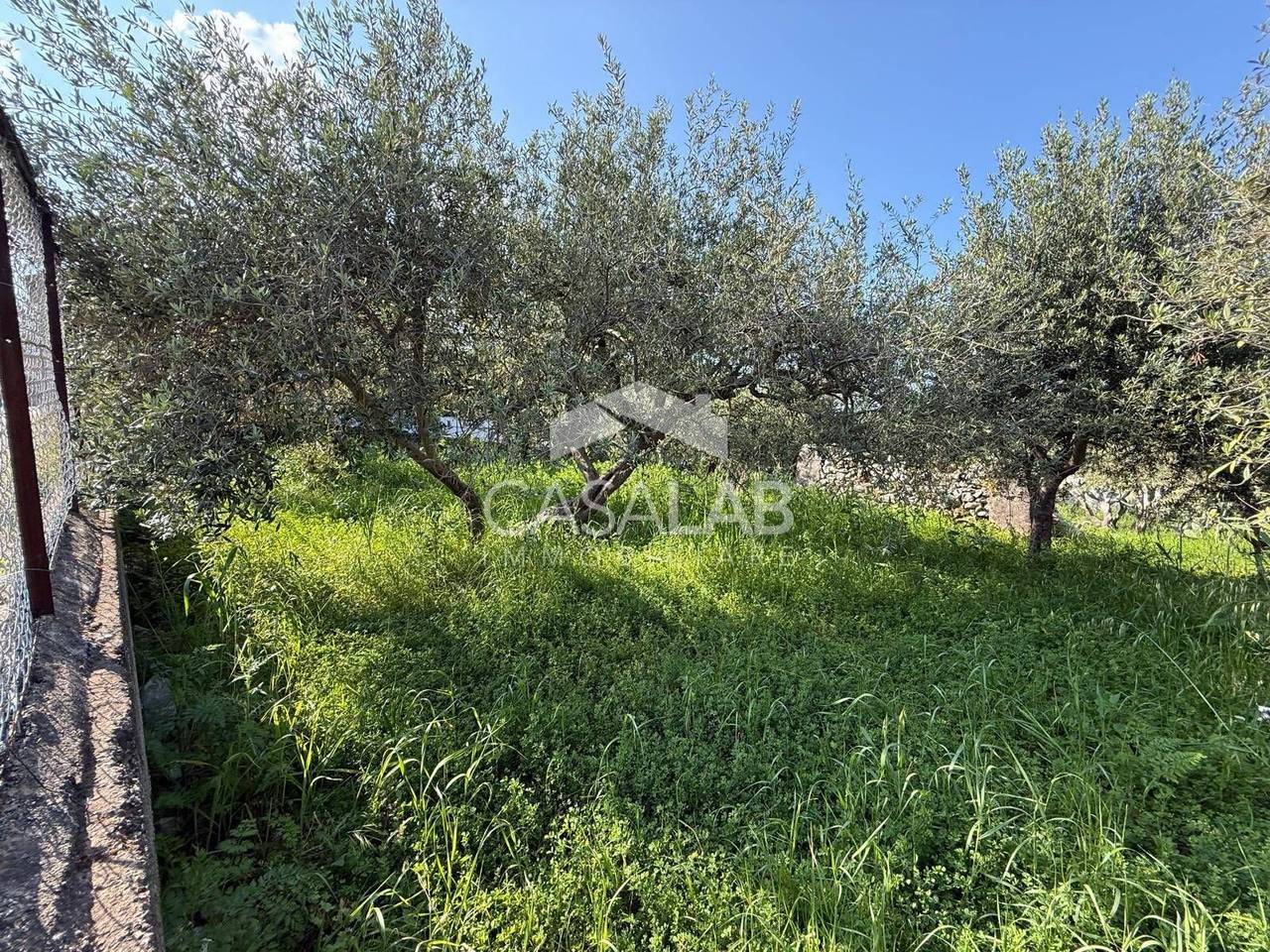 immagine annuncio 8 di 9