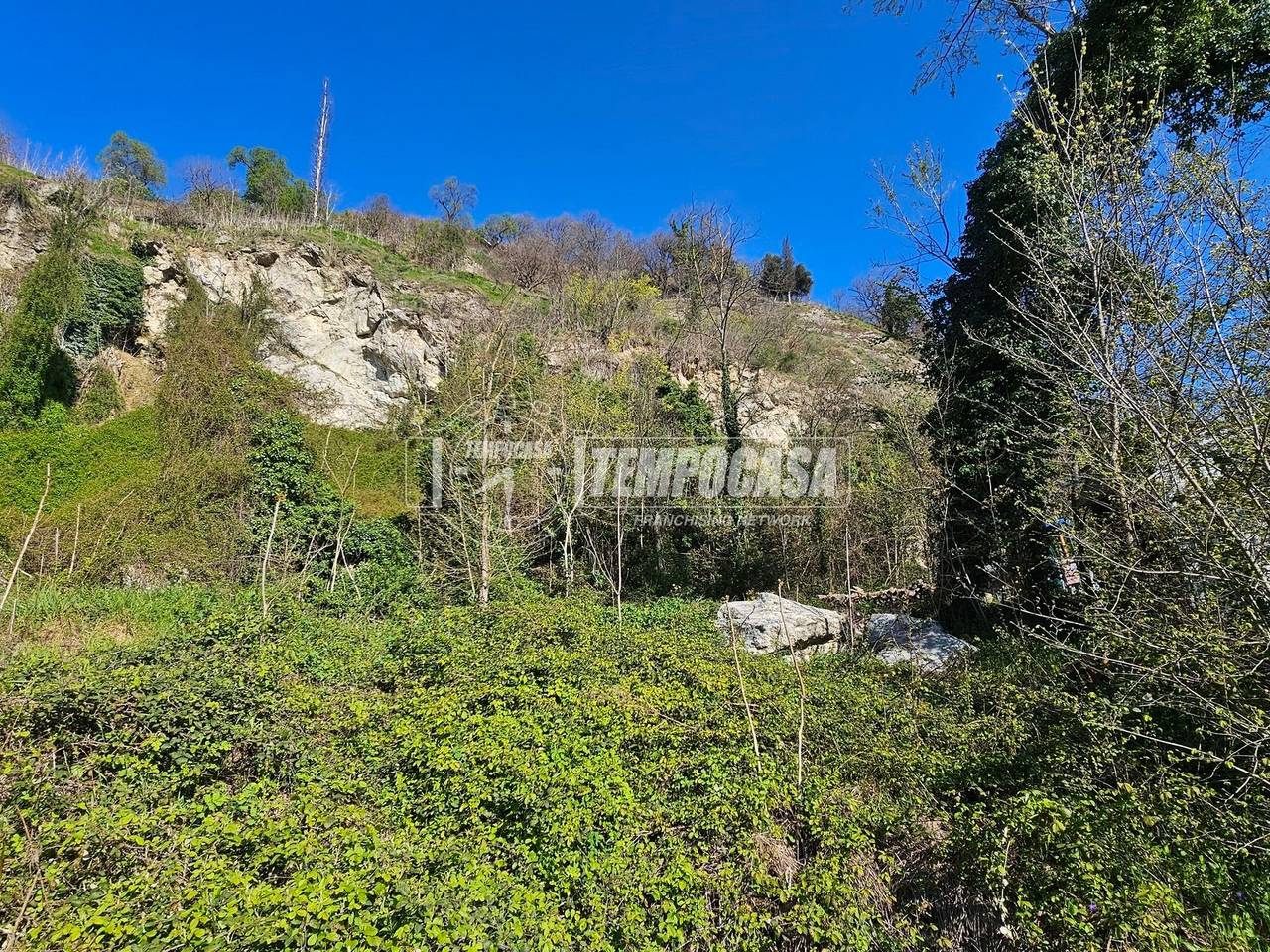 immagine annuncio 4 di 14