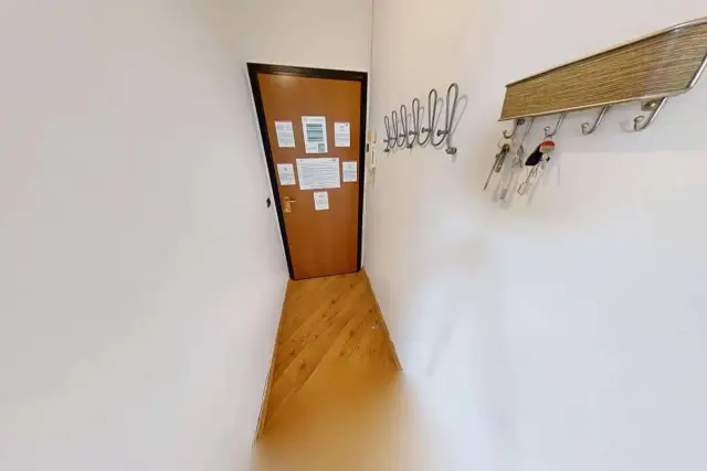 insertion image