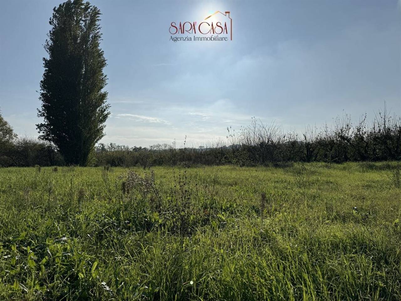 immagine annuncio 3 di 6