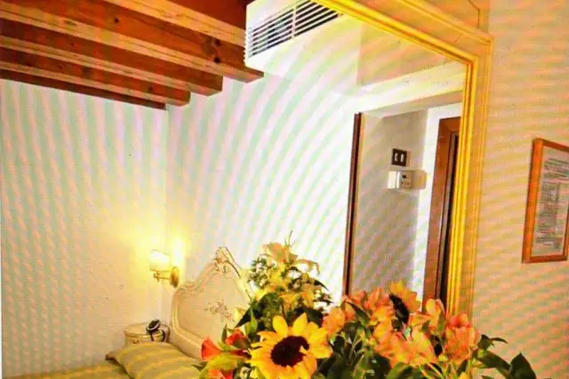 insertion image