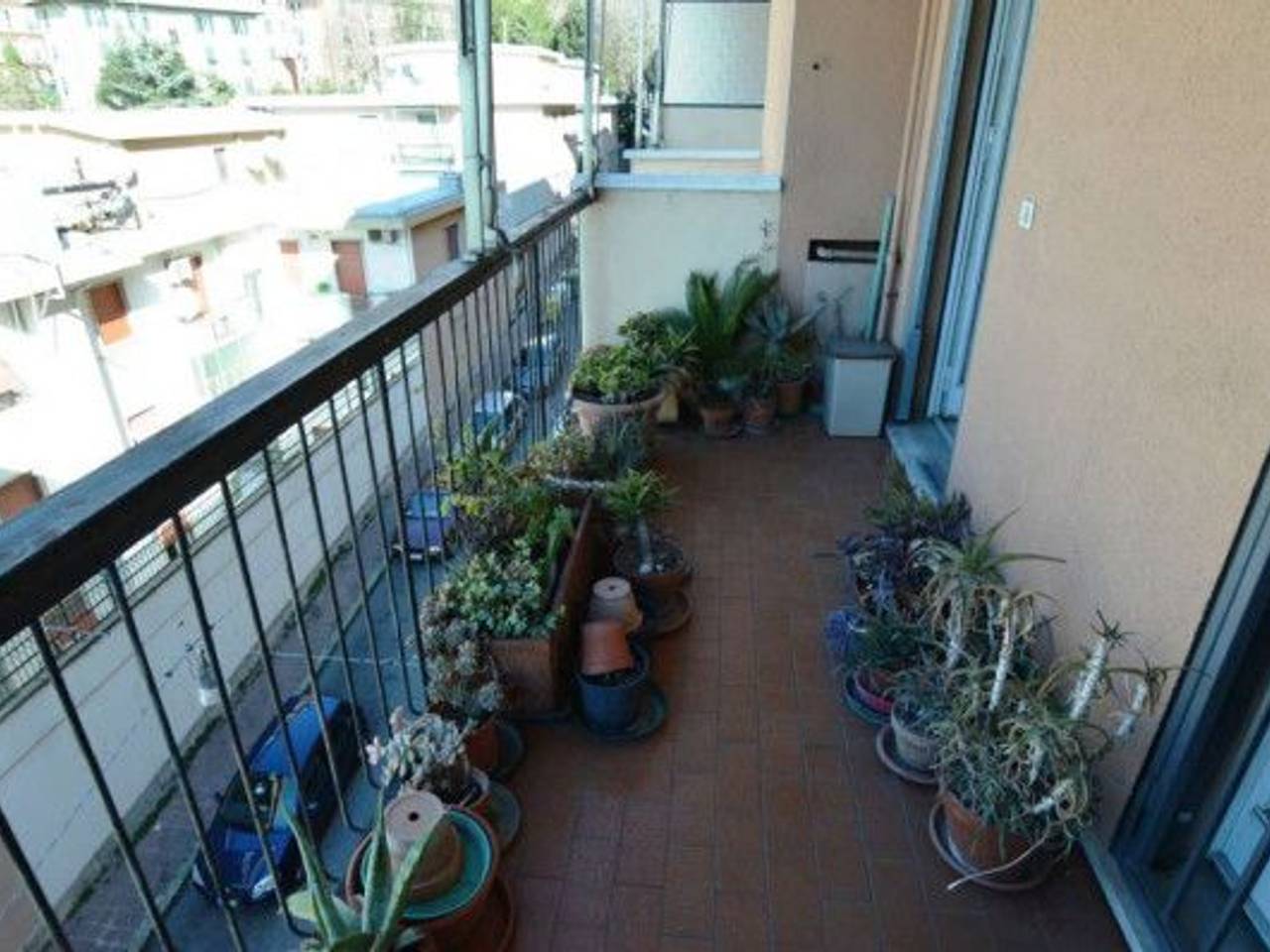immagine annuncio 8 di 12
