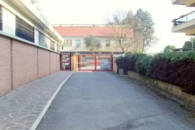insertion image