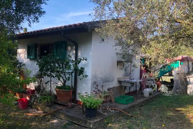 Terreno agricolo in Via delle Pianacce, Livorno - Foto 1