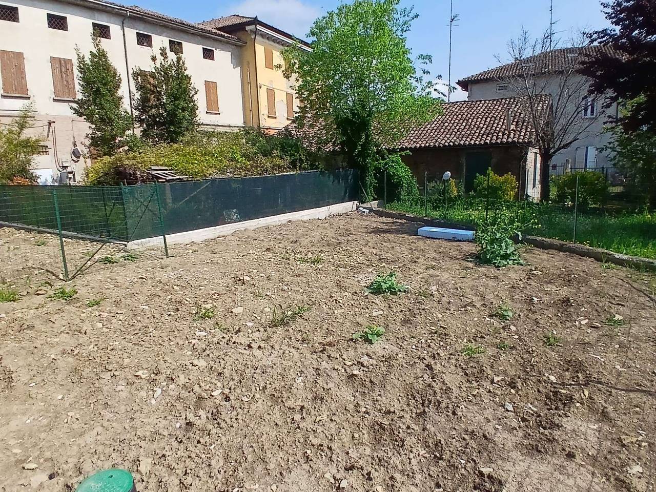 immagine annuncio 13 di 14