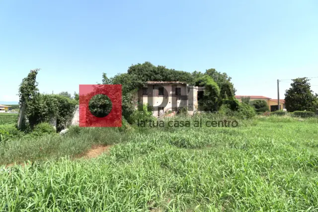 insertion image