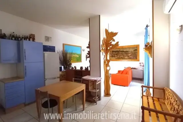 insertion image