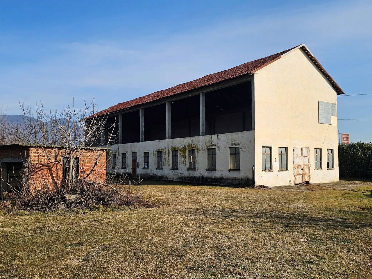 immagine annuncio 12 di 15