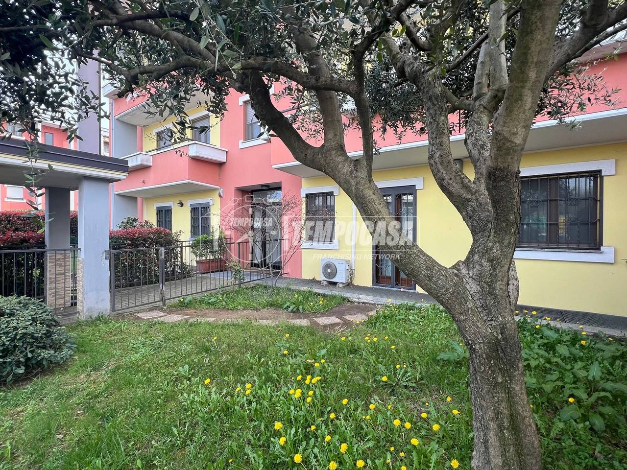 immagine annuncio 5 di 15