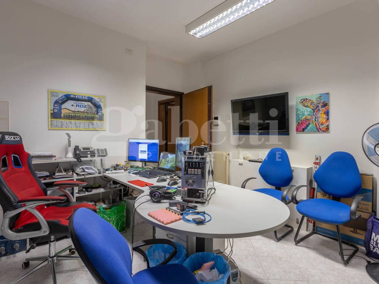 immagine annuncio 10 di 15