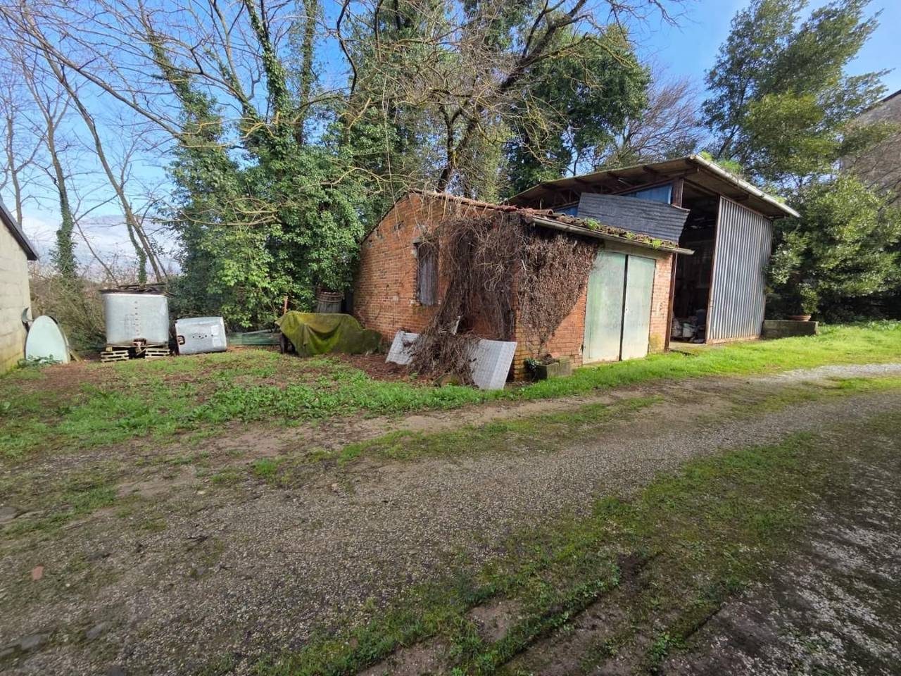 immagine annuncio 10 di 15