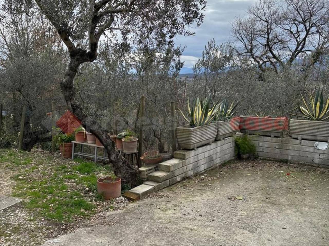 immagine annuncio 4 di 14