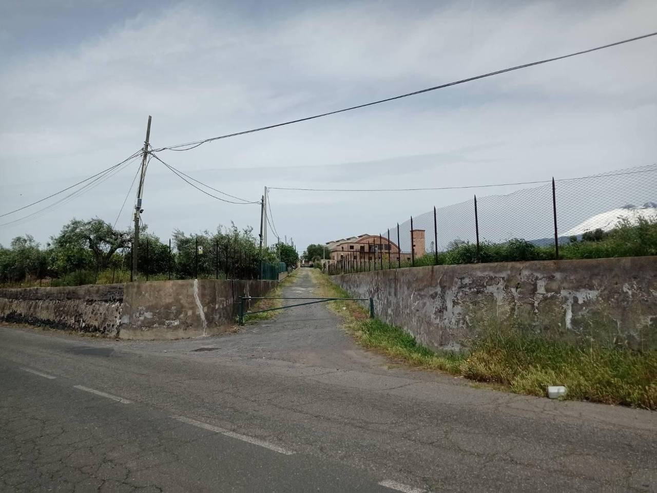 immagine annuncio 2 di 8