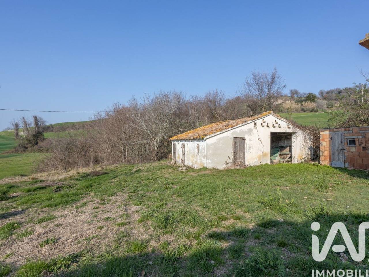 immagine annuncio 6 di 15