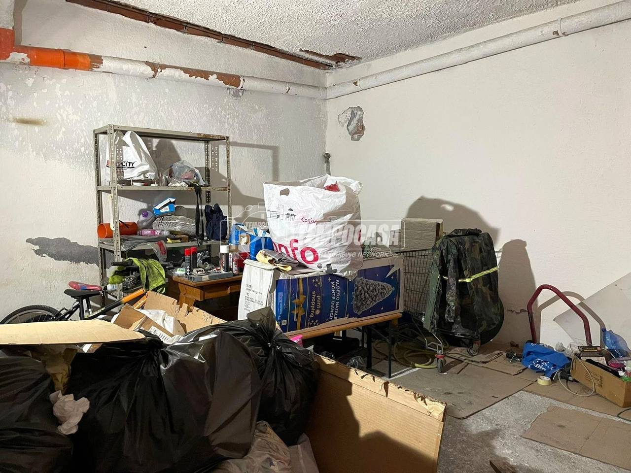 immagine annuncio 5 di 11