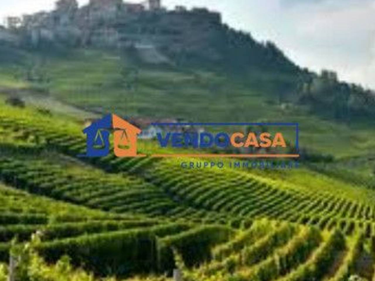 immagine annuncio 1 di 2