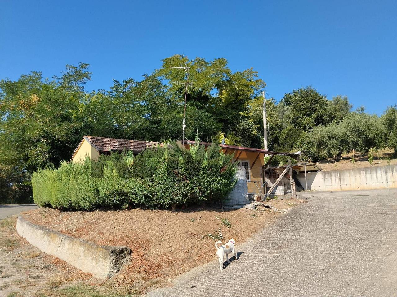 immagine annuncio 1 di 15