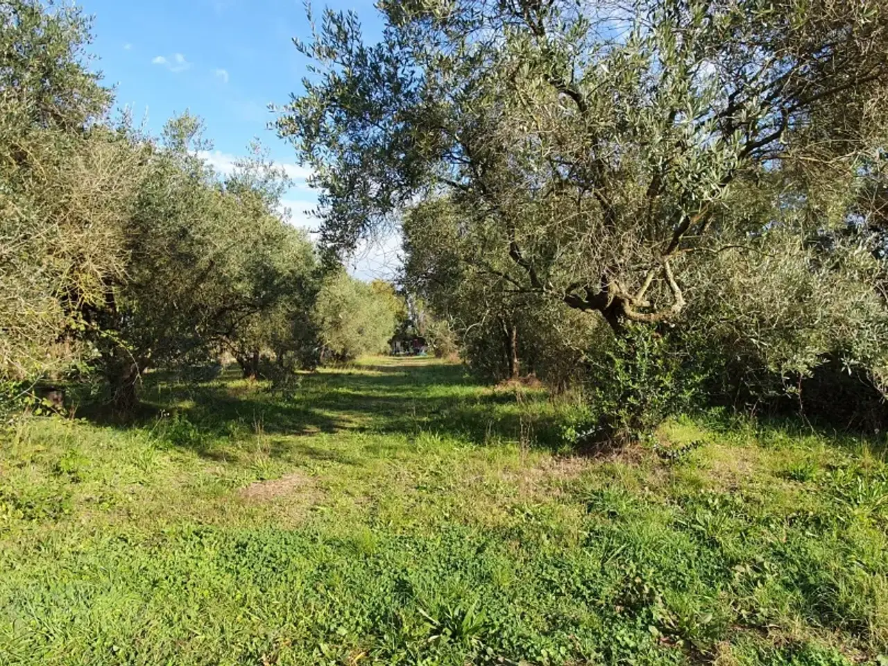 Magazzino in Vicinale Livornese 194, Fucecchio, {3} - Foto 2