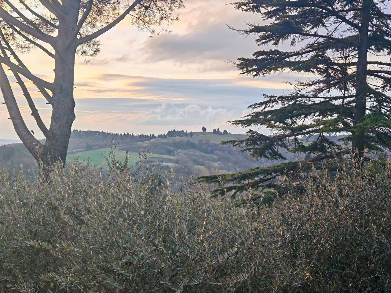 immagine annuncio 11 di 14