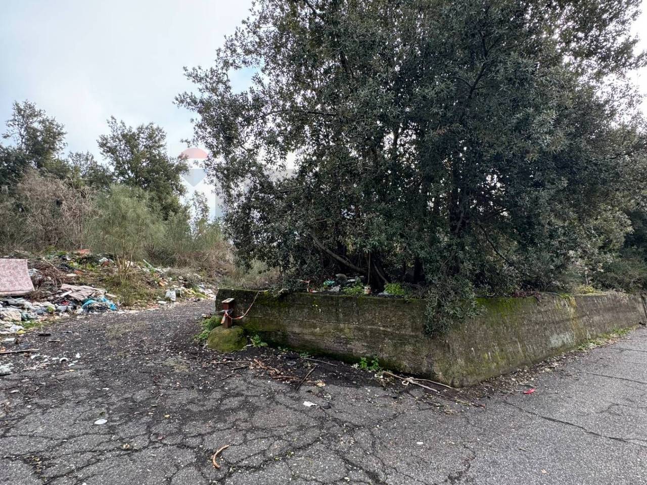 immagine annuncio 6 di 8