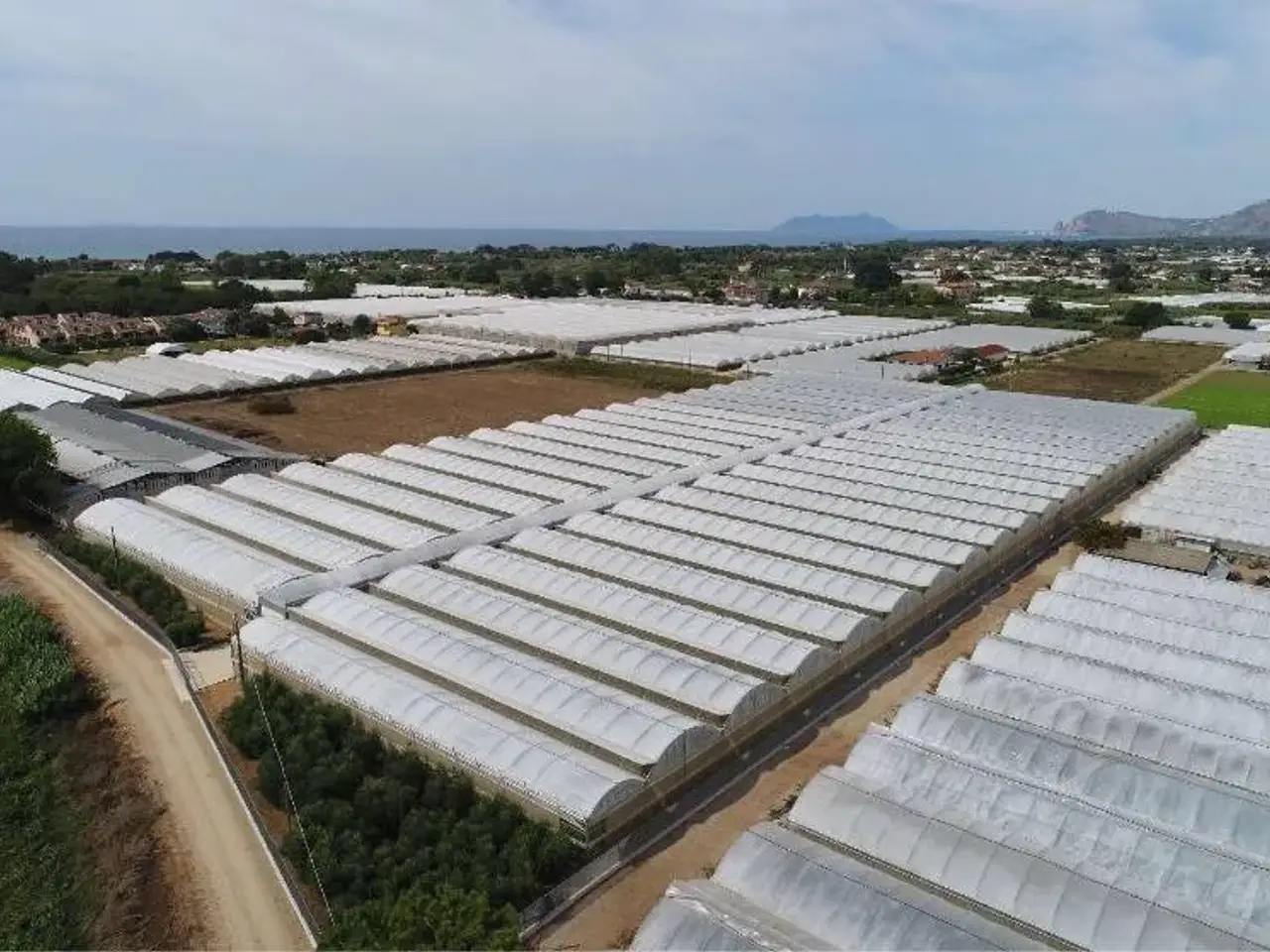Azienda agricola in , Fondi, {3} - Foto 2