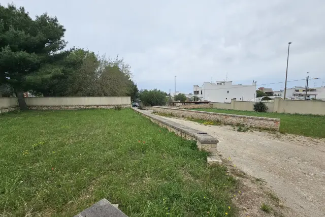 insertion image