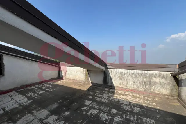 insertion image