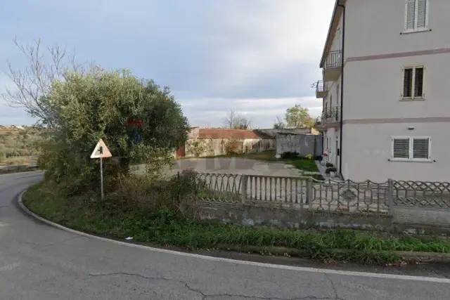 insertion image
