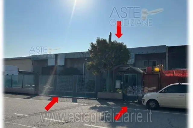 insertion image