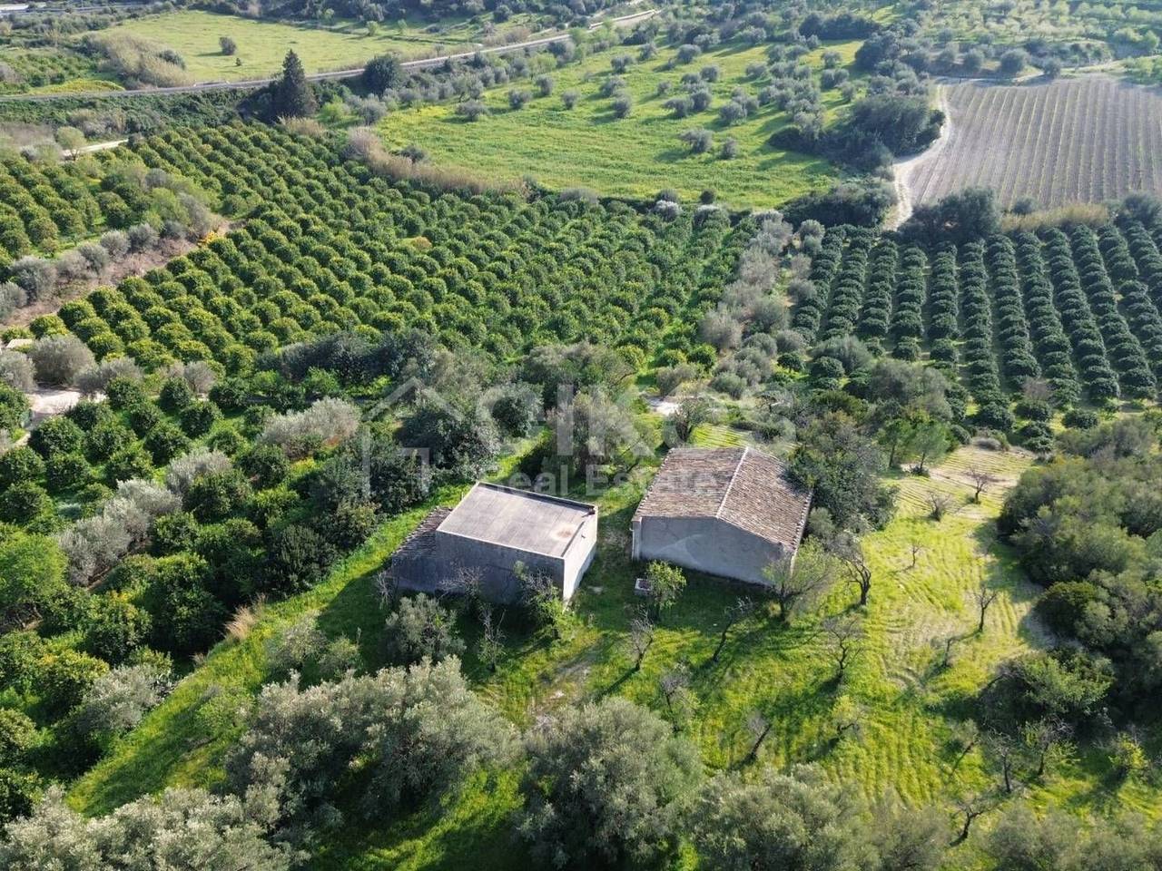 immagine annuncio 4 di 12