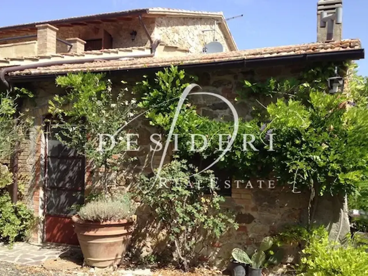 Azienda agricola in Cinigiano, Cinigiano, {3} - Foto 2