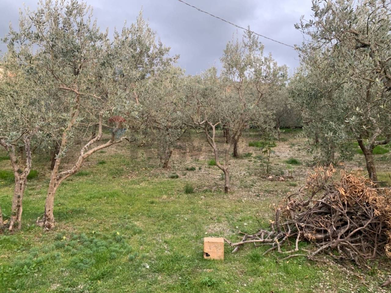 immagine annuncio 7 di 14