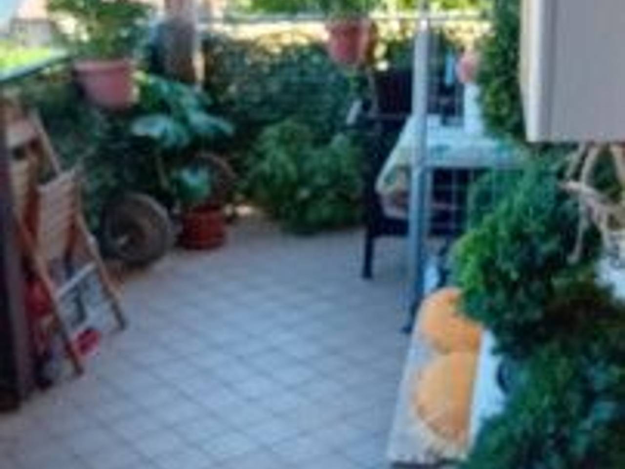 immagine annuncio 4 di 14