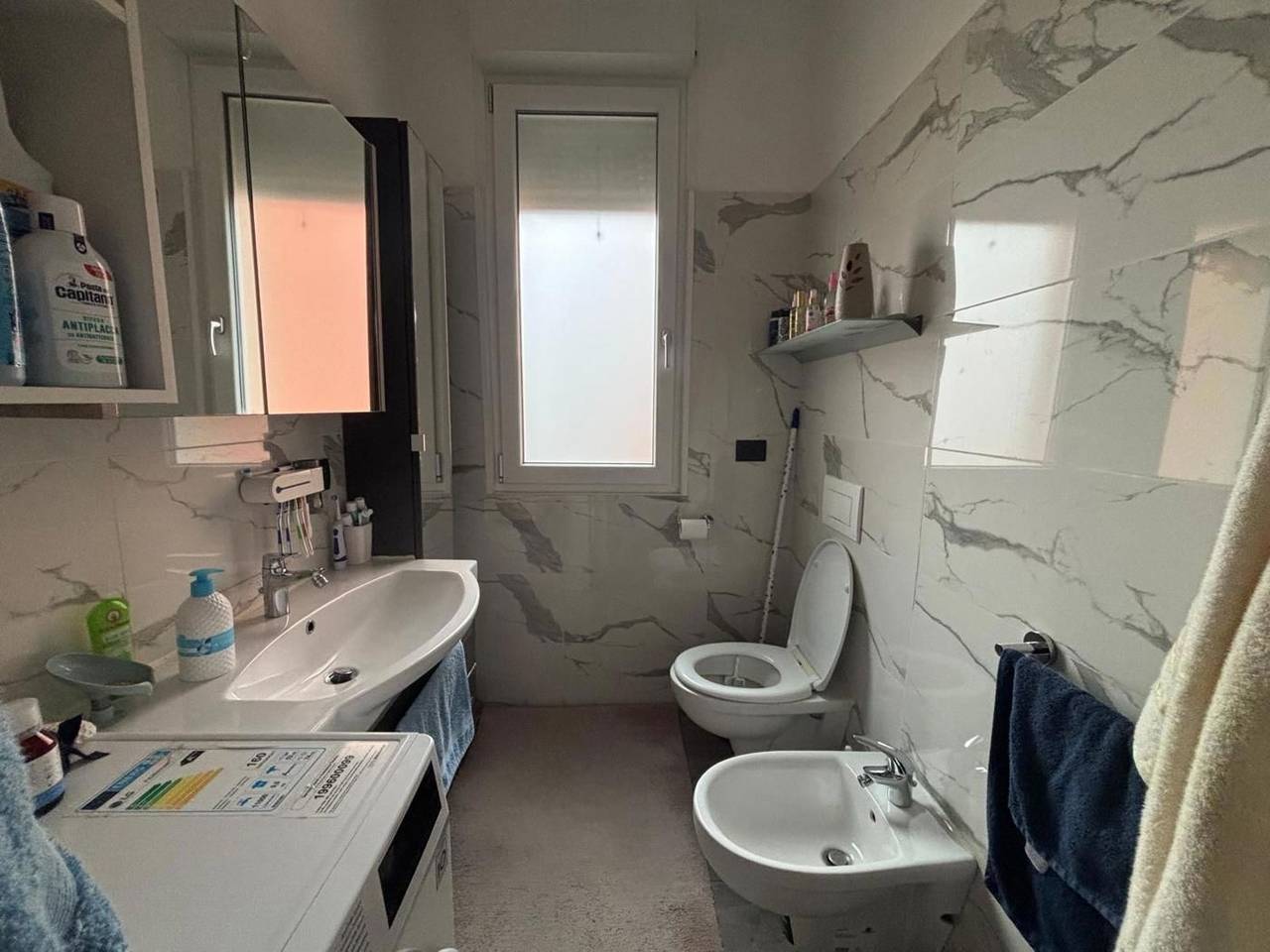 immagine annuncio 1 di 12