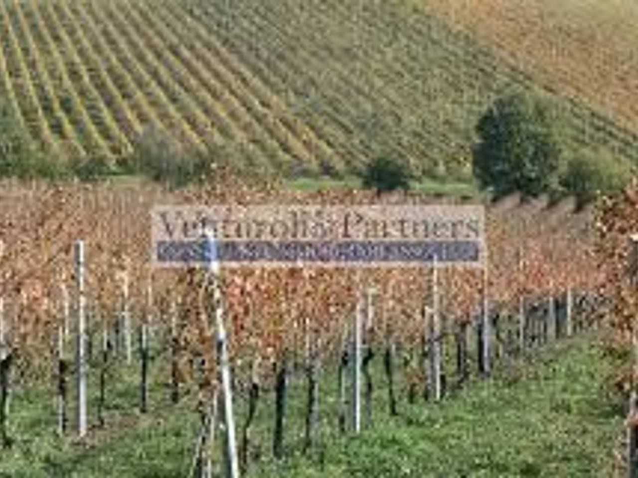 immagine annuncio 9 di 12