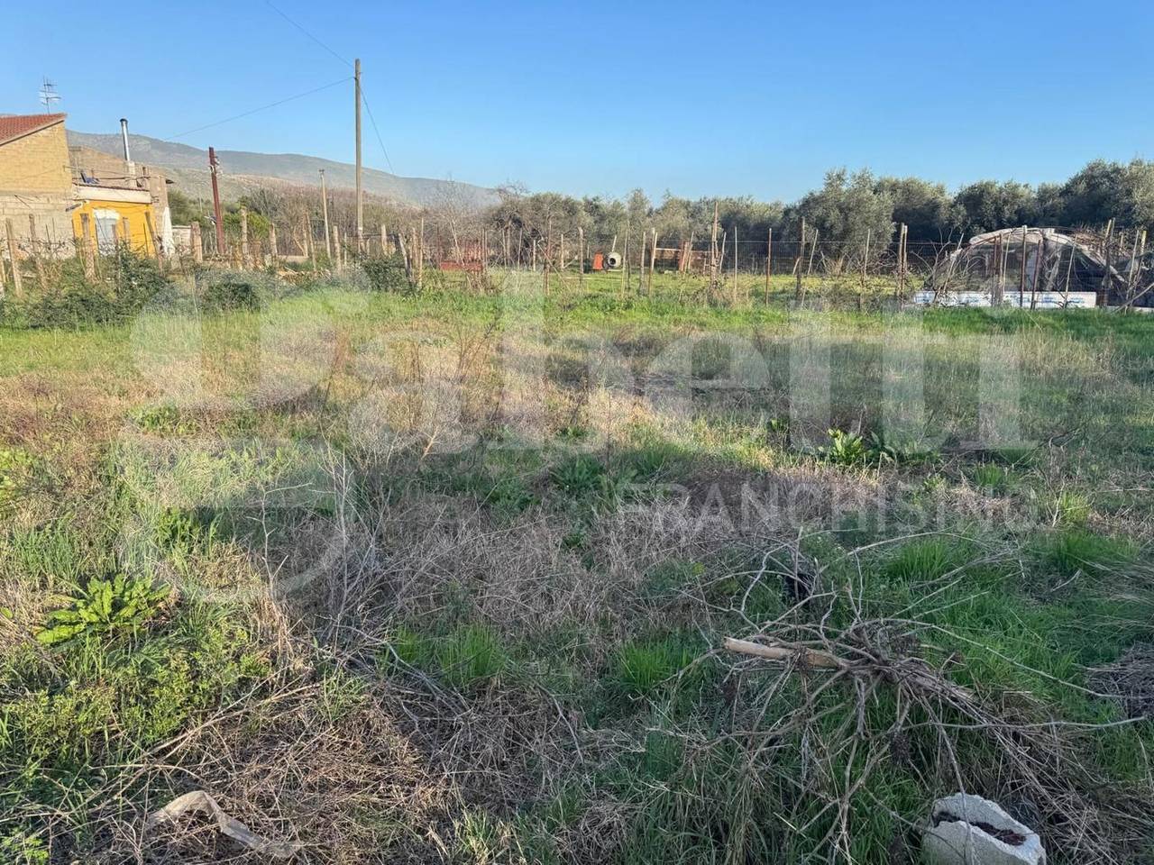 immagine annuncio 7 di 8