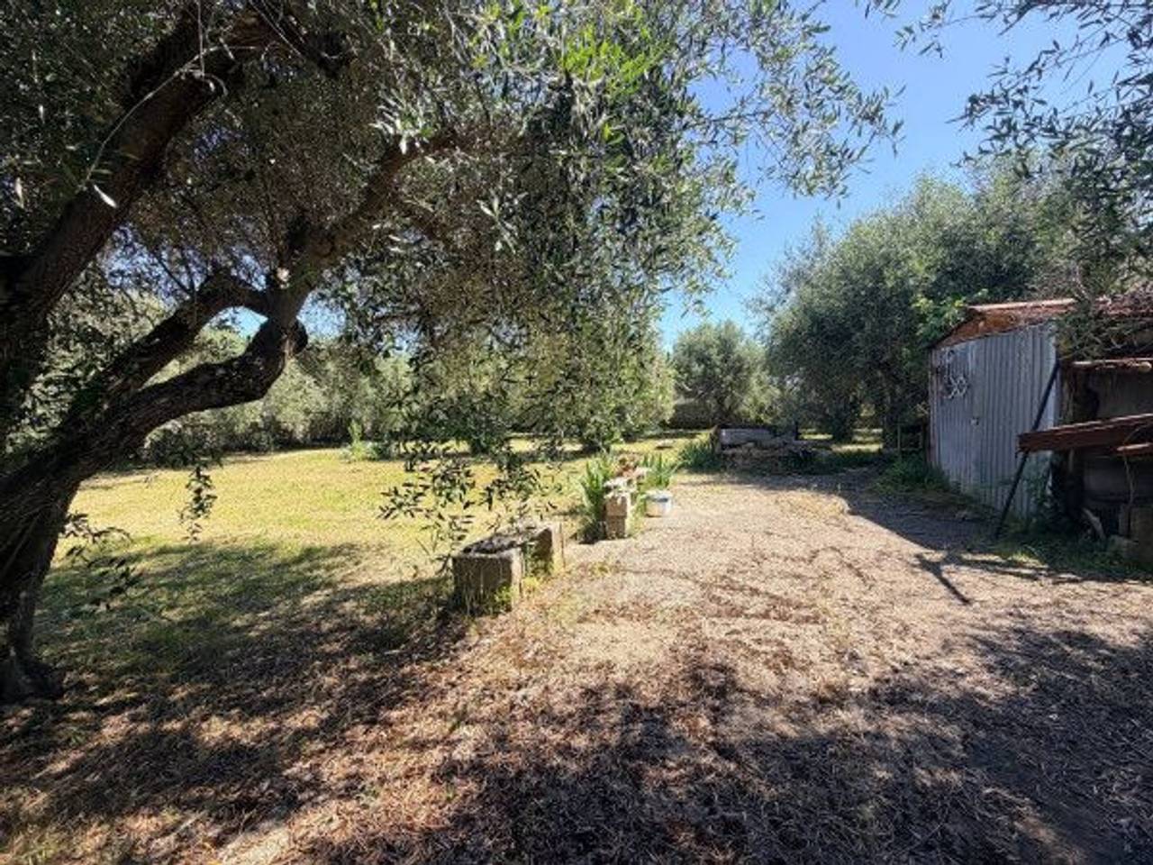 immagine annuncio 2 di 6