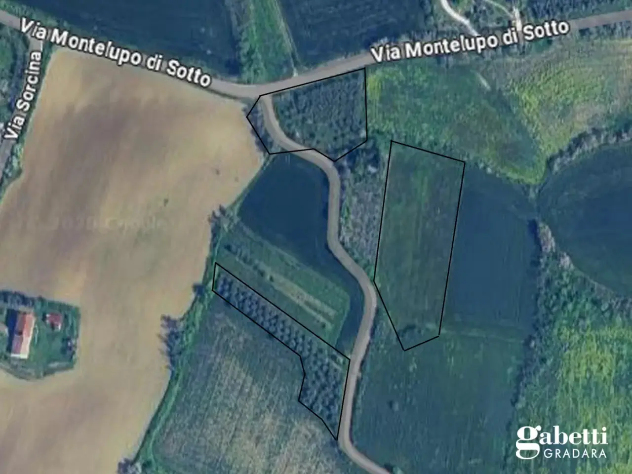 Terreno agricolo in vendita, Via Montelupo di Sotto Snc, San Giovanni in Marignano - Planimetria 1
