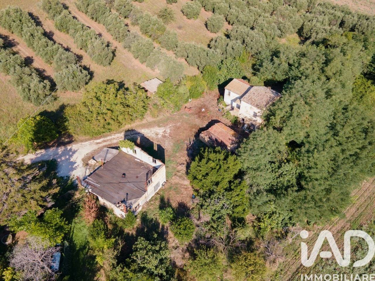 immagine annuncio 7 di 14