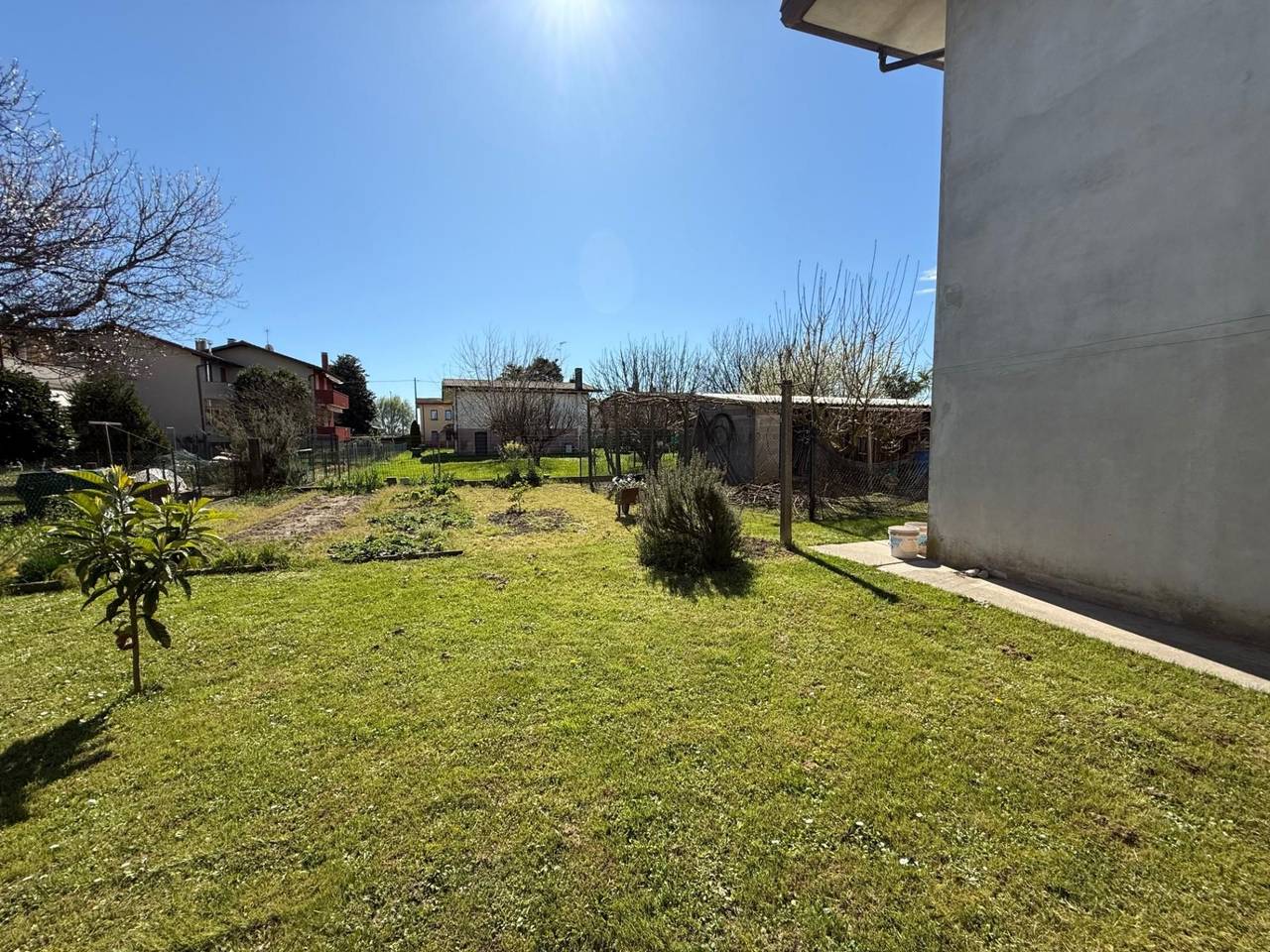 immagine annuncio 6 di 11