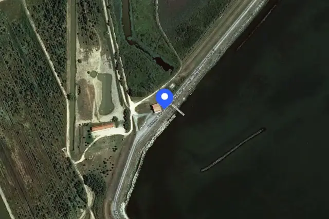 insertion image