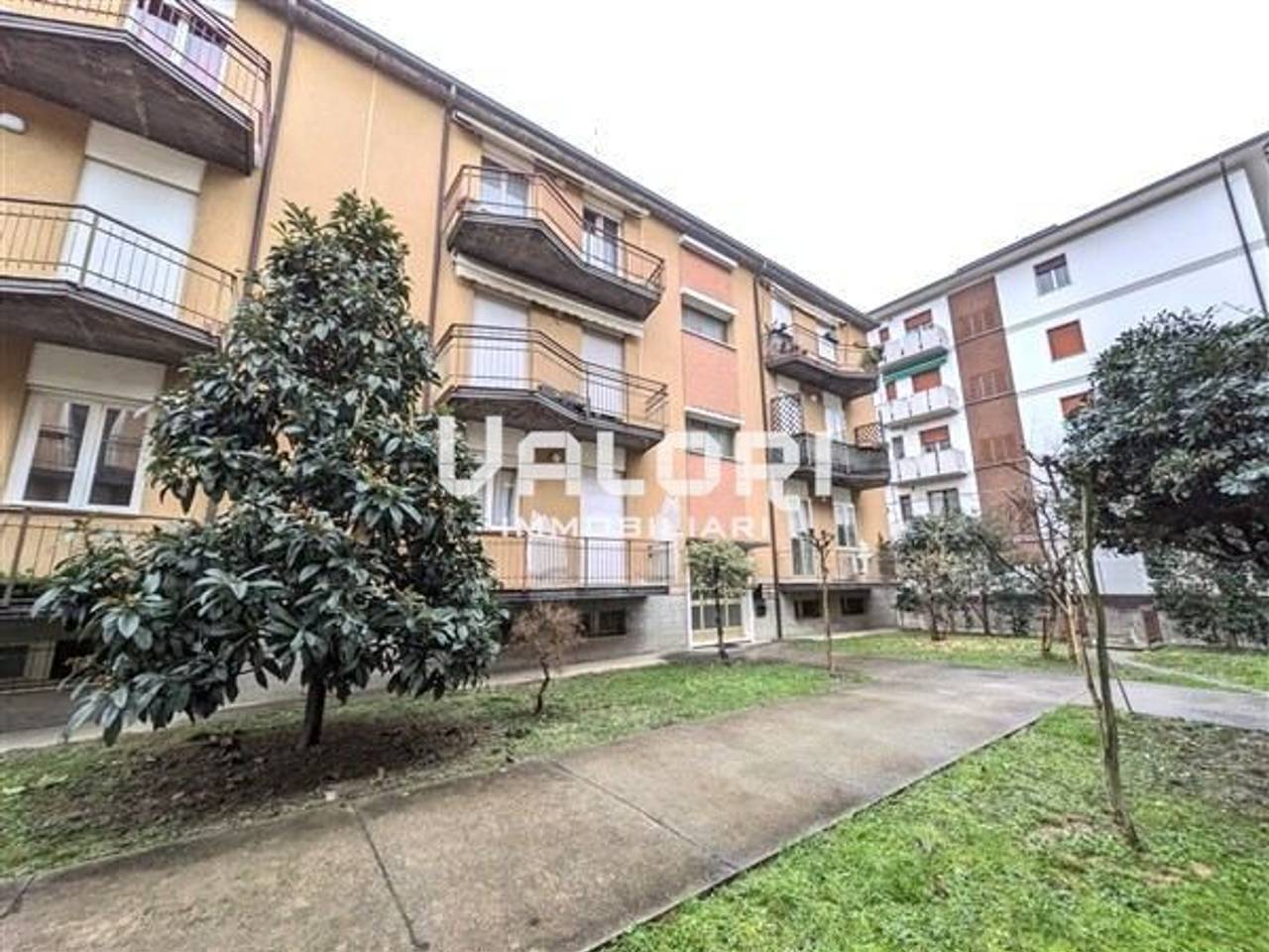 immagine annuncio 10 di 11