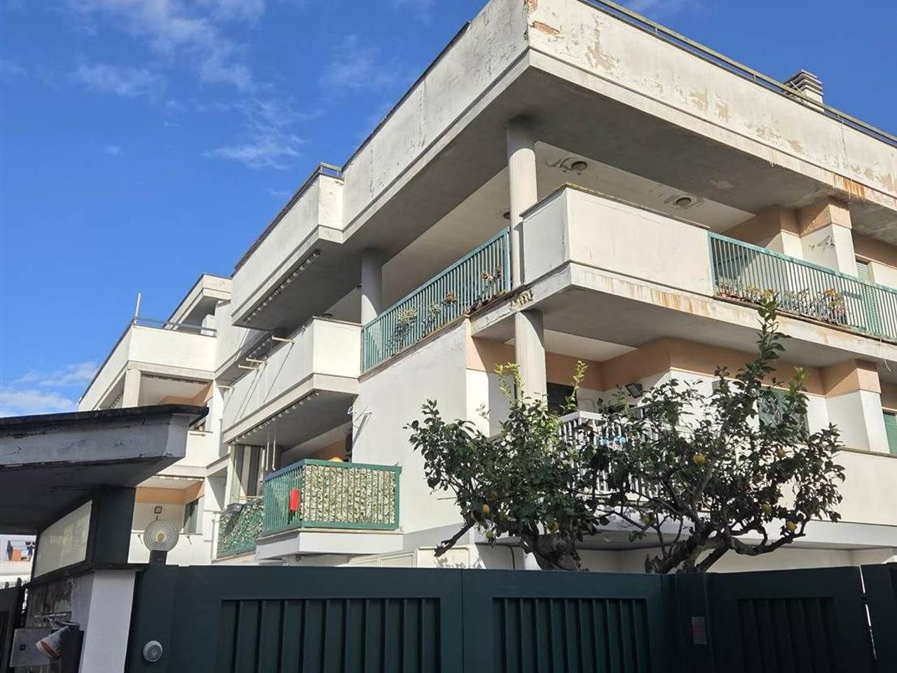 immagine annuncio 1 di 15