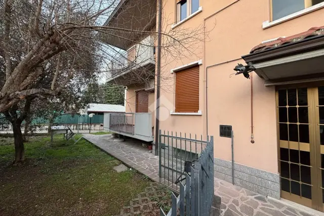 insertion image
