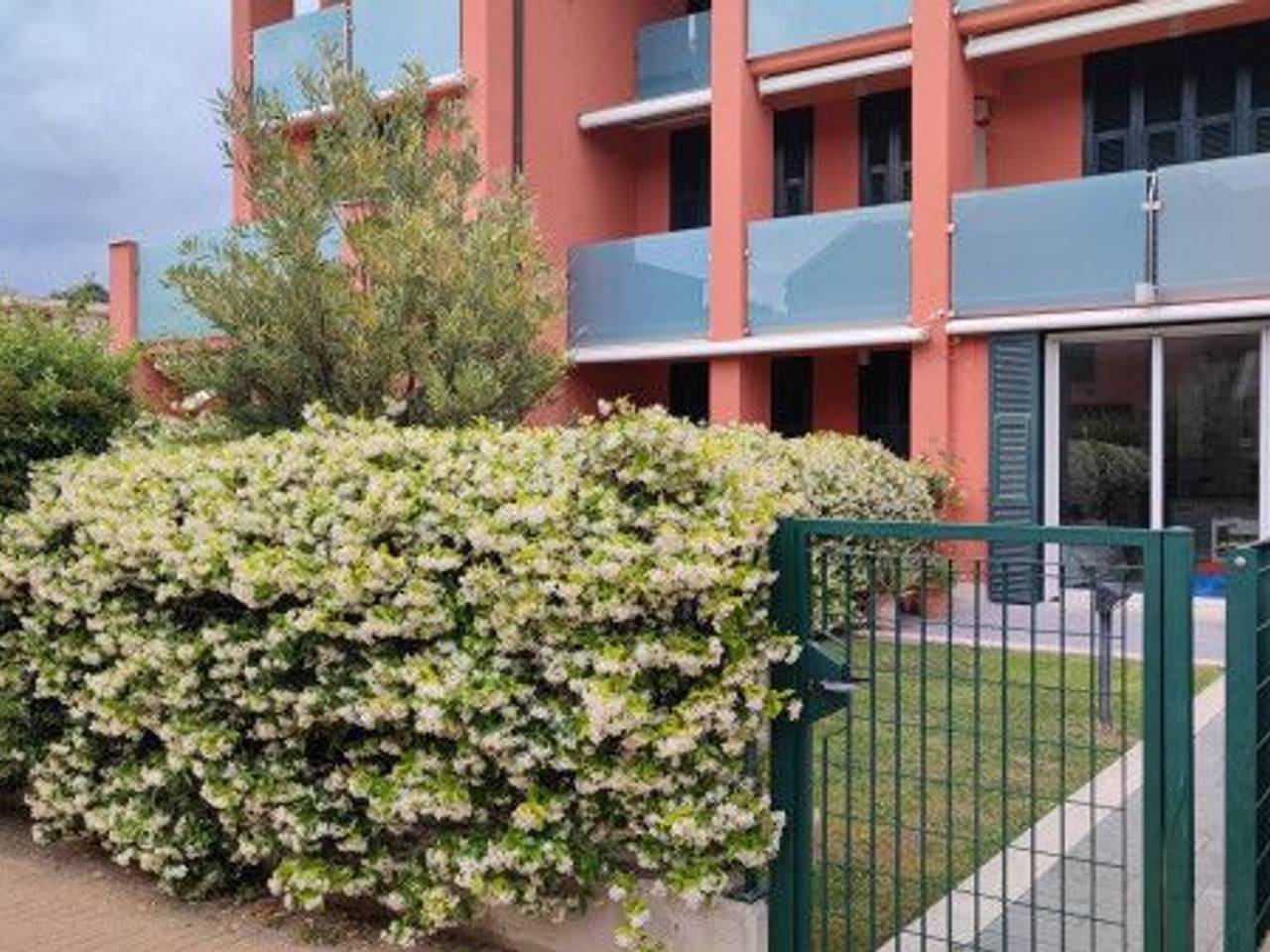 immagine annuncio 5 di 15