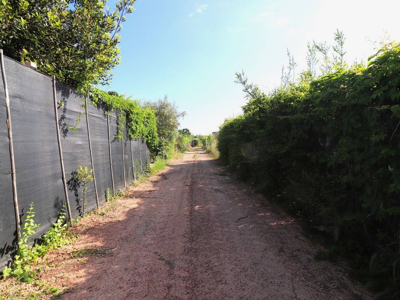 immagine annuncio 8 di 9