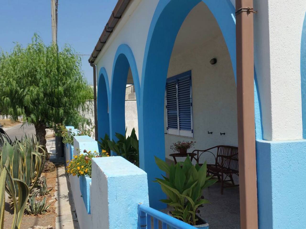 immagine annuncio 4 di 15