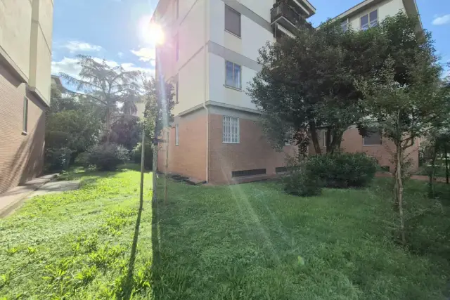 insertion image