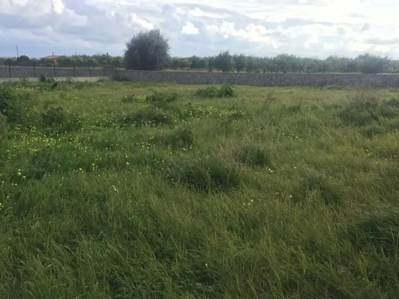 Magazzino in , Avola, {3} - Foto 2