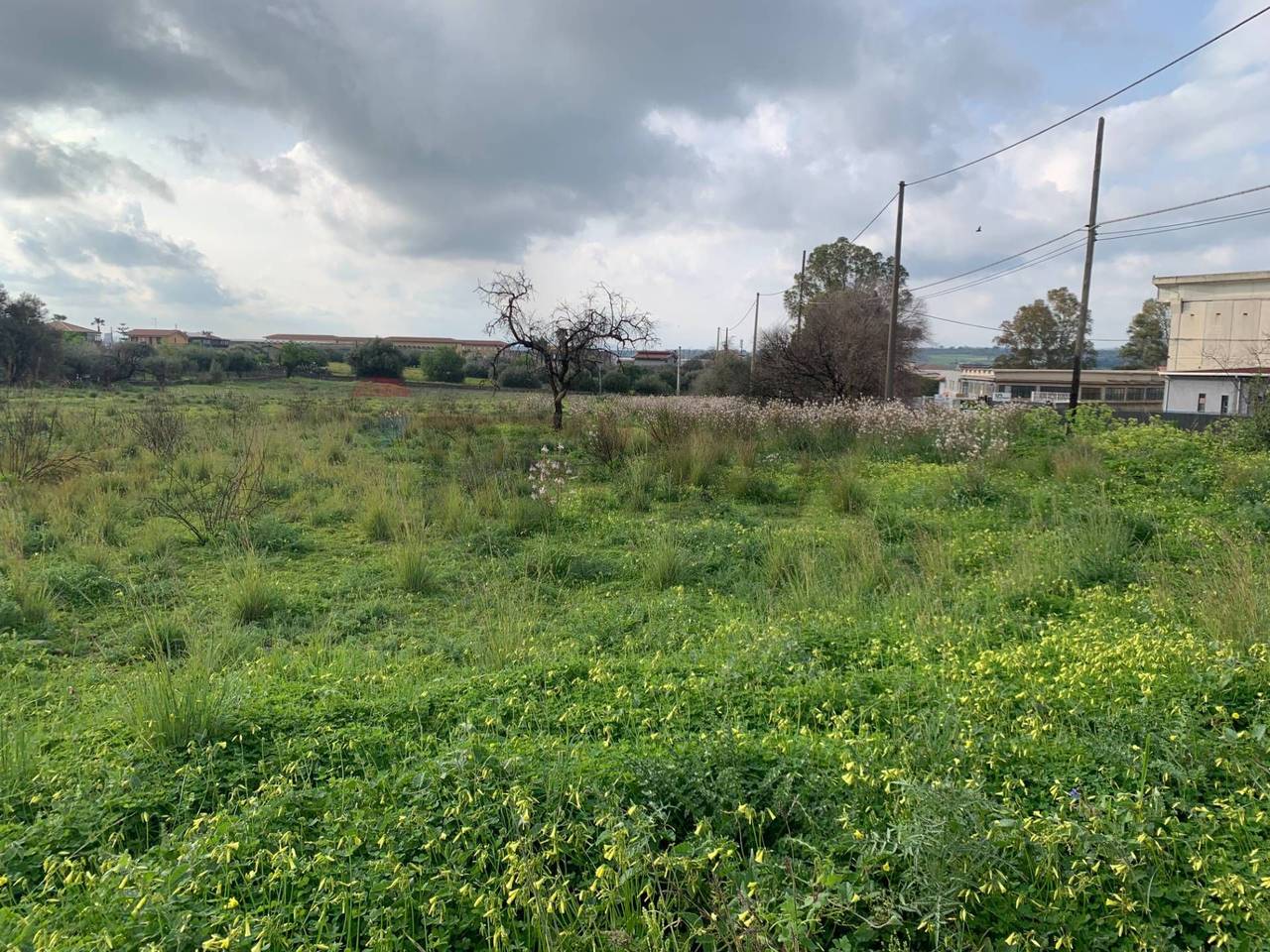 immagine annuncio 6 di 7